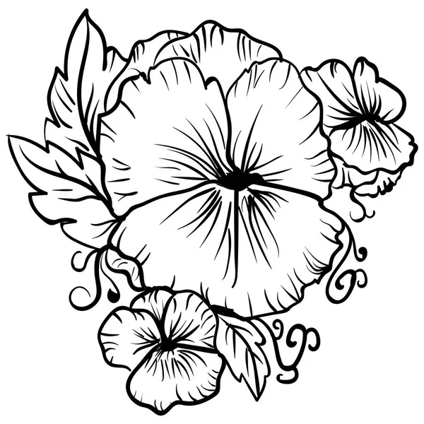 Elegante dekorative Stiefmütterchenblumen skizzieren Stiefmütterchen — Stockvektor