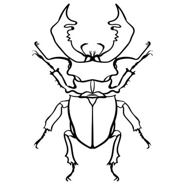 Böcek geyik. Boynuzlu böcek. Büyük böcek Hat sanatı
