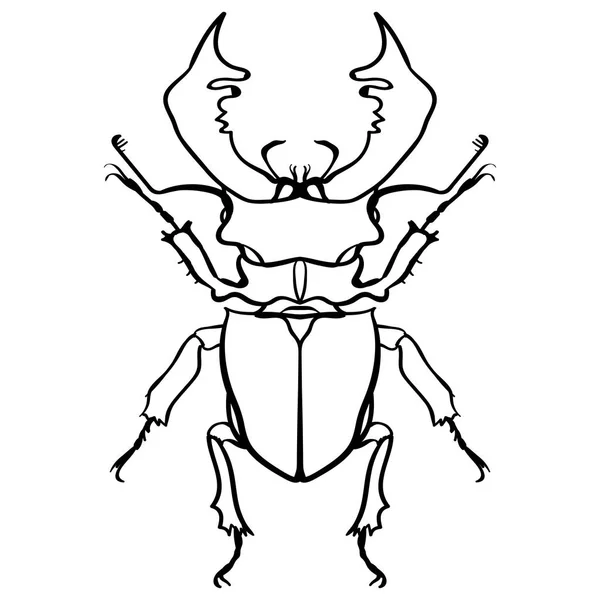Ciervo escarabajo. Escarabajo con cuernos. Arte de línea de insectos grandes — Archivo Imágenes Vectoriales