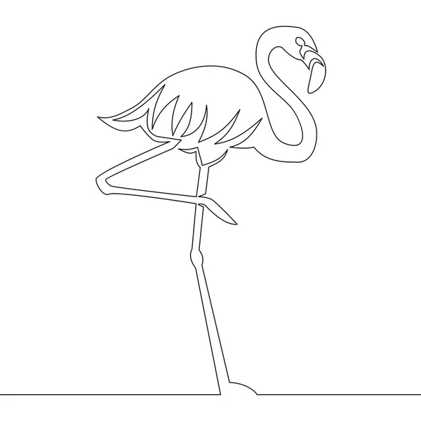 Flamingo linha contínua desenho Vector —  Vetores de Stock