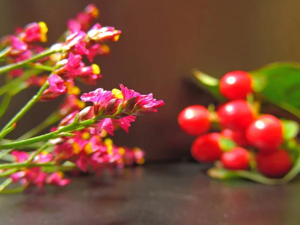 red flowers on the background.flowers with a blurred and black background.