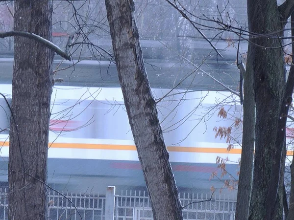 tree trunks on the background of the train.train in a blurred background.