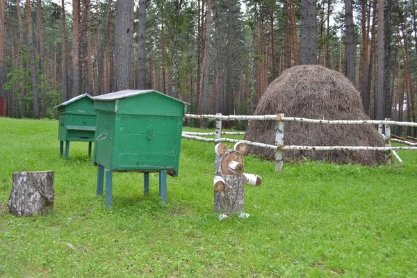 ロシア ケメロヴォ 2017 農場でタイガの養蜂場 熊の子のヘイスタックと木彫 博物館予約 Tomsk Pisanitsa — ストック写真