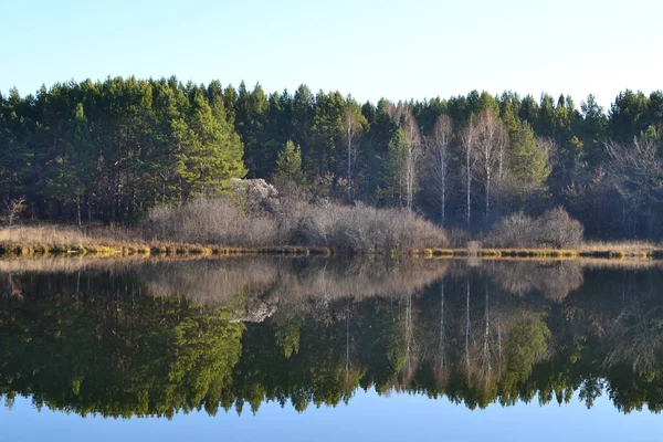 Autumn Siberian Forest Surrounds Pond Kemerovo Region — 图库照片