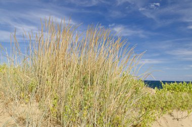 Sunny beach kumulları ve mavi gökyüzü ile