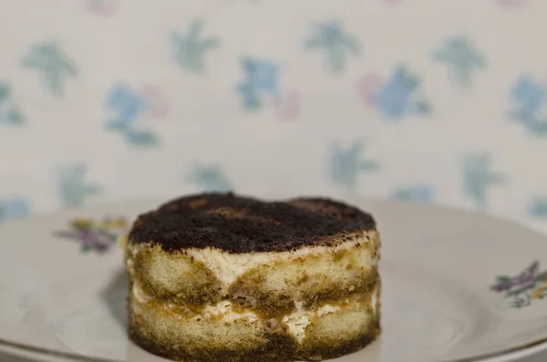 Домашний кусок торта тирамису на тарелке — стоковое фото