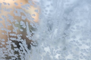 Buzlu çiçek - pencere-cam bulanıklık dondurulmuş