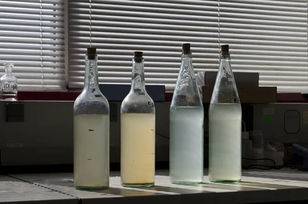 Prueba Muestras Agua Laboratorio Planta Tratamiento Agua — Foto de Stock