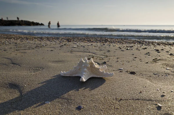 Mattina Presto Sulla Spiaggia Località Pomorie Bulgaria — Foto Stock