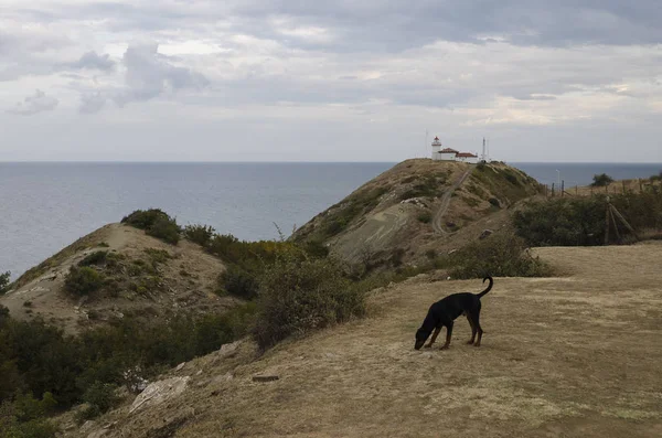 Phare Sur Cap Emine Début Soirée — Photo