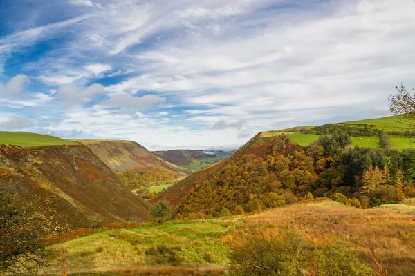 Na podzim podzim scény, tráva a stromy, Wales, Velká Británie. — Stock fotografie