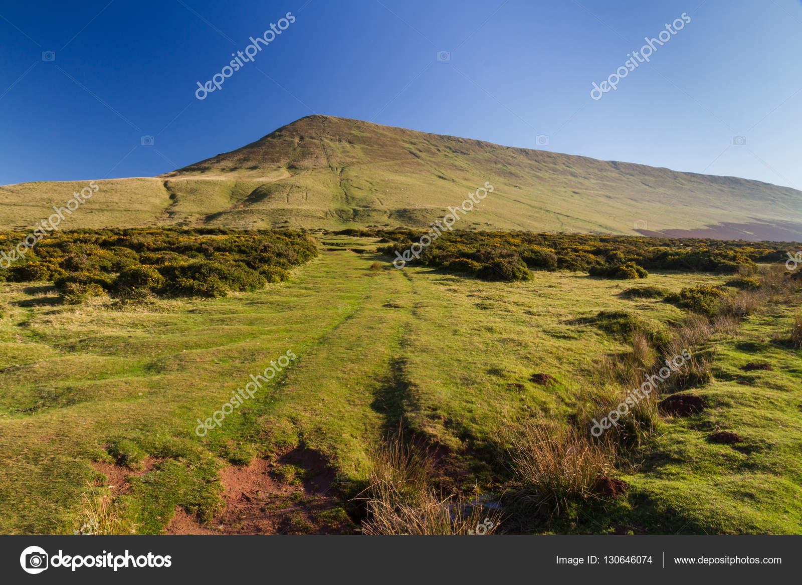 46 Hay On Wye Stock Photos Free Royalty Free Hay On Wye Images Depositphotos