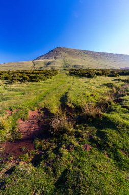 Saman Bluff, Penybegwn, Simgesel Yapı Galler.