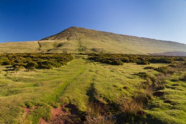 Saman Bluff, Penybegwn, Simgesel Yapı Galler