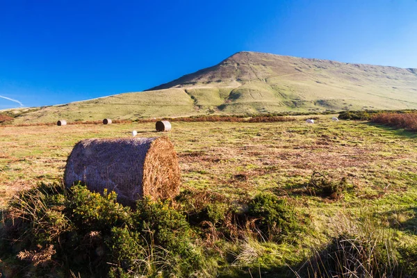 Saman Bluff, Penybegwn, Simgesel Yapı Galler