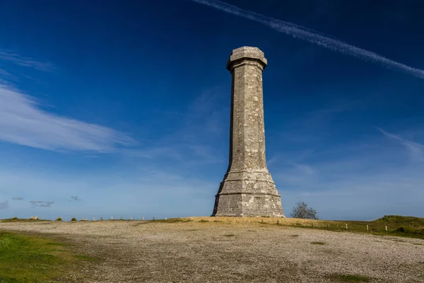 Pomnik Hardys Dorset — Zdjęcie stockowe