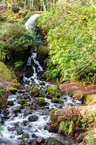 Waterfall in mossy woodland. — Stock Photo, Image