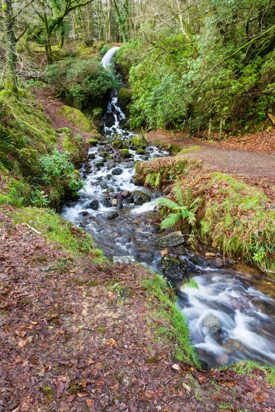 Vattenfall i mossig skogsmark. — Stockfoto