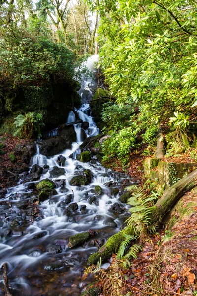 Waterfall in mossy woodland. — Stock Photo, Image