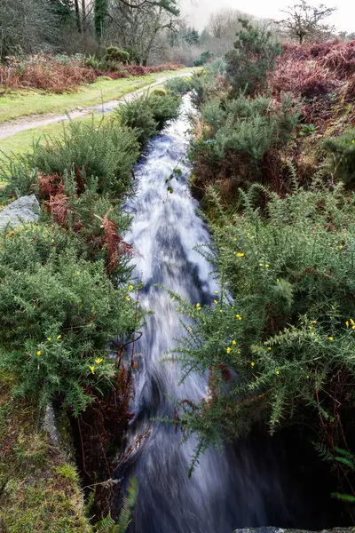 Devonport Leat, old channel carrying water, Dartmoor England. — Stock Photo, Image