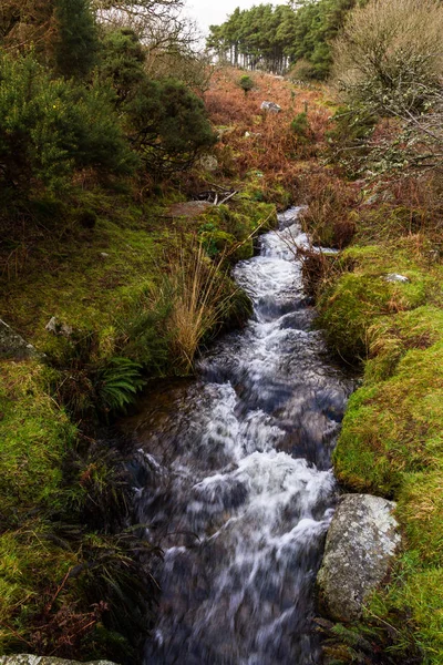Devonport Leat, old channel carrying water, Dartmoor England. — Stock Photo, Image