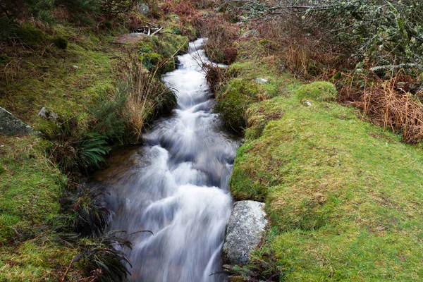 Devonport Leat, old channel carrying water, Dartmoor England. — Stock Photo, Image