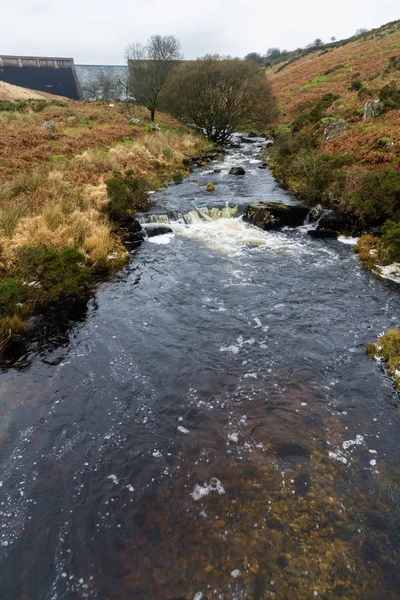 Río Avon y presa, Dartmoor —  Fotos de Stock