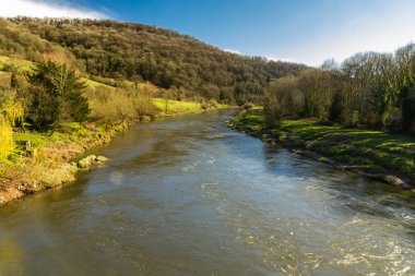nehir wye adlı brockweir