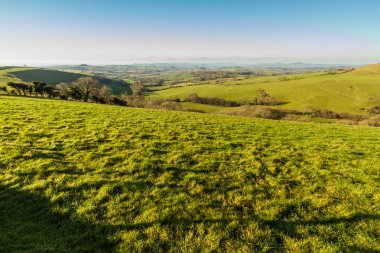 İngiltere'de Dorset ülke görünümü