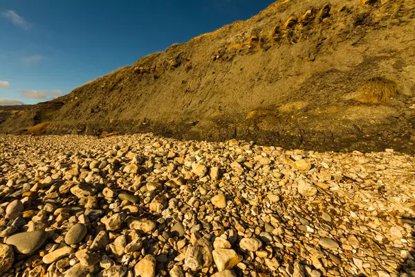 Stony beach and low sandstone cliff — Stock Photo, Image