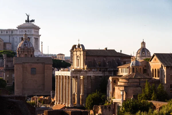 Vista sobre Palatine Hill — Fotografia de Stock