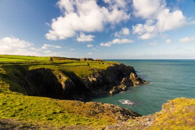 Galler west coast Porthgain yakınında.