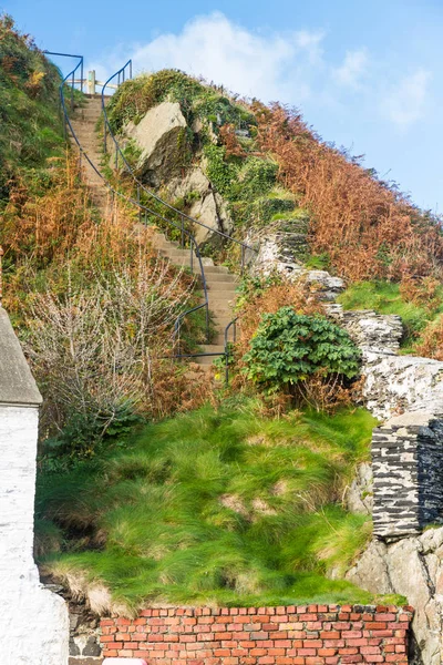 Passi che portano attraverso l'erba, rocce e felci . — Foto Stock