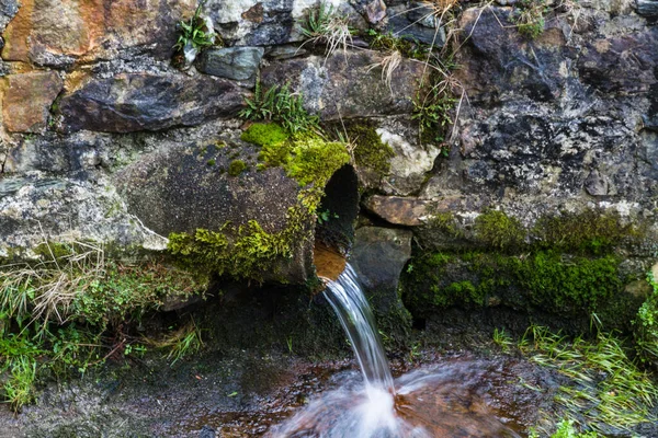 Drainage pipe flowing water with moss, lichen — Stock Photo, Image