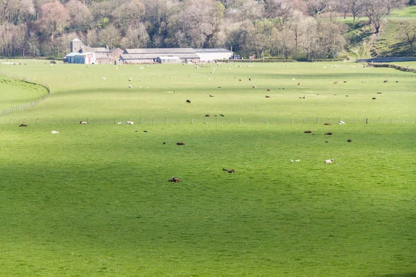 Landbouwgrond op het platteland van Groot-Brittannië met copyspace. — Stockfoto