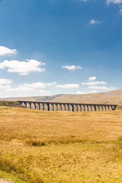 Viaduto com muitos arcos no belo campo . — Fotografia de Stock