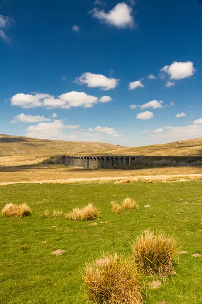 Viaducto ferroviario en el día soleado, colinas verdes rodantes detrás . —  Fotos de Stock