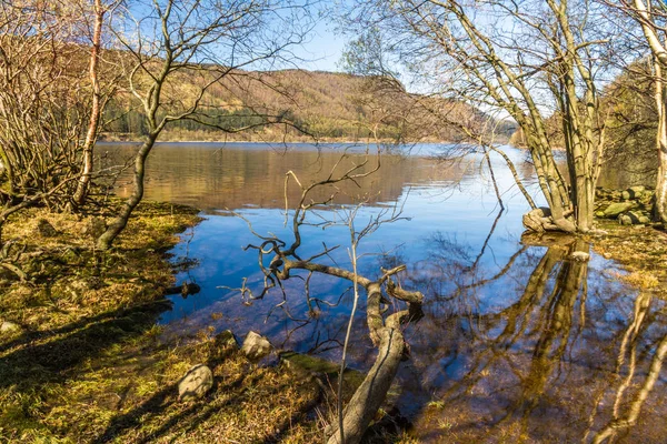 Lago no dia de primavera a partir de árvore alinhada banco — Fotografia de Stock