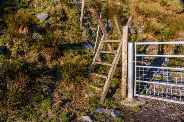 Ladder Stile by gate — Stock Photo, Image