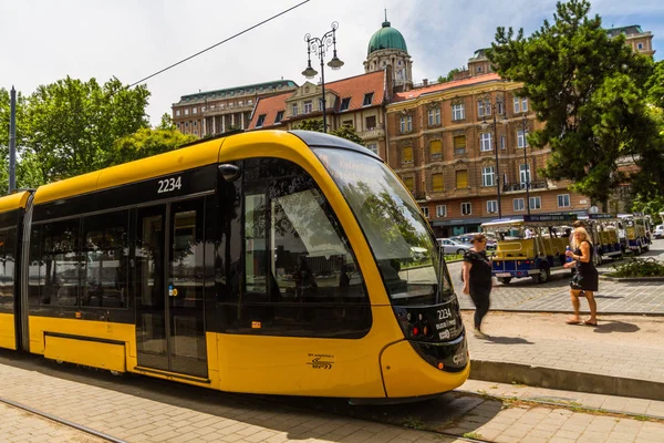 Редакція Modern Budapest Tram with dome of Buda Castle in the — стокове фото