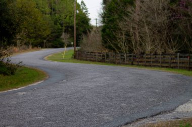 Oyuncak ayı dondurma partisi.