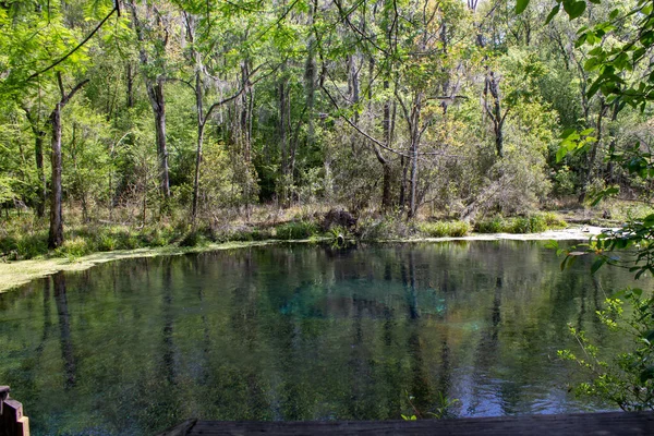 Trou Bleu Fait Partie Parc État Itchitucknee Floride Aux États — Photo
