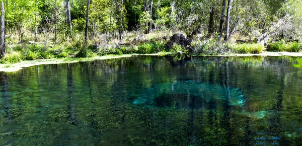 青い穴のパングラフ 青い穴はフロリダUsaのItichucknee州立公園の有名な洞窟ダイビングサイトです — ストック写真