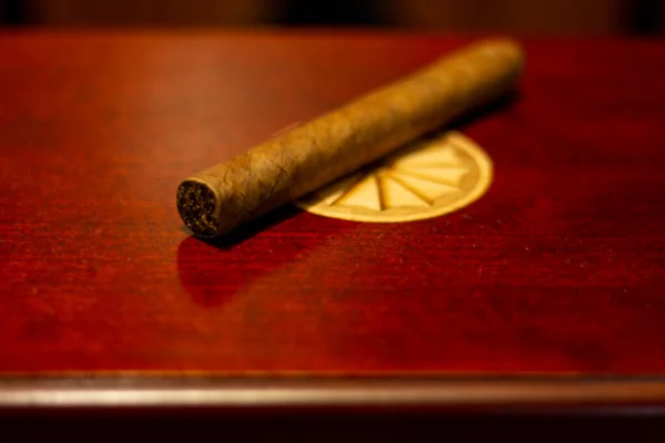 Obelyst Cigarr Humidor — Stockfoto