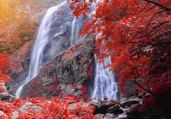 Hermosa cascada en el bosque de otoño con hojas rojas y sunli — Foto de Stock