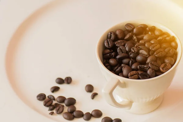Granos de café en taza en plato blanco con efecto de luz cálida, vint — Foto de Stock