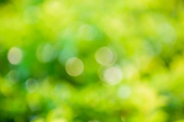 Ufuk soyut doğa arka plan bokeh ışıklar ile.