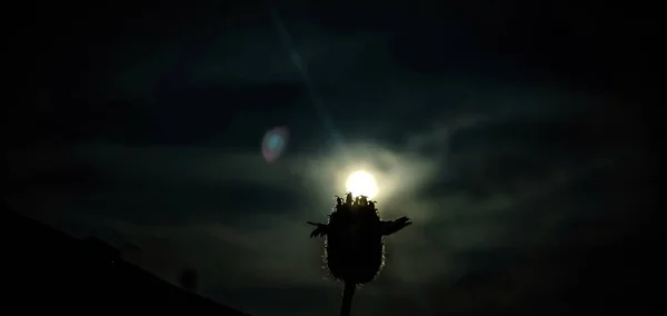 Romantik gece sahnesi Güzel ışık ve karanlık