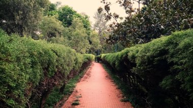 lalbagh Botanik Bahçesi içinde bangalore, karnataka, Hindistan'ın güzel manzarasını