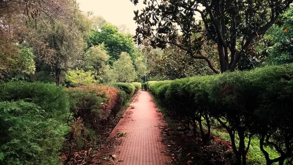 lalbagh Botanik Bahçesi içinde bangalore, karnataka, Hindistan'ın güzel manzarasını